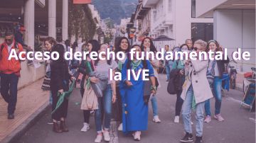ASPECTOS LEGALES ACERCA DEL DERECHO FUNDAMENTAL DE LA IVE