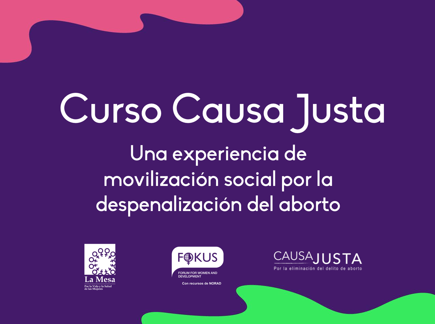 Causa Justa por la Eliminación del Delito de Aborto: Una experiencia de movilización social en Colombia por el derecho a decidir